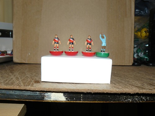 Mongolia subbuteo santiago - mongolia,